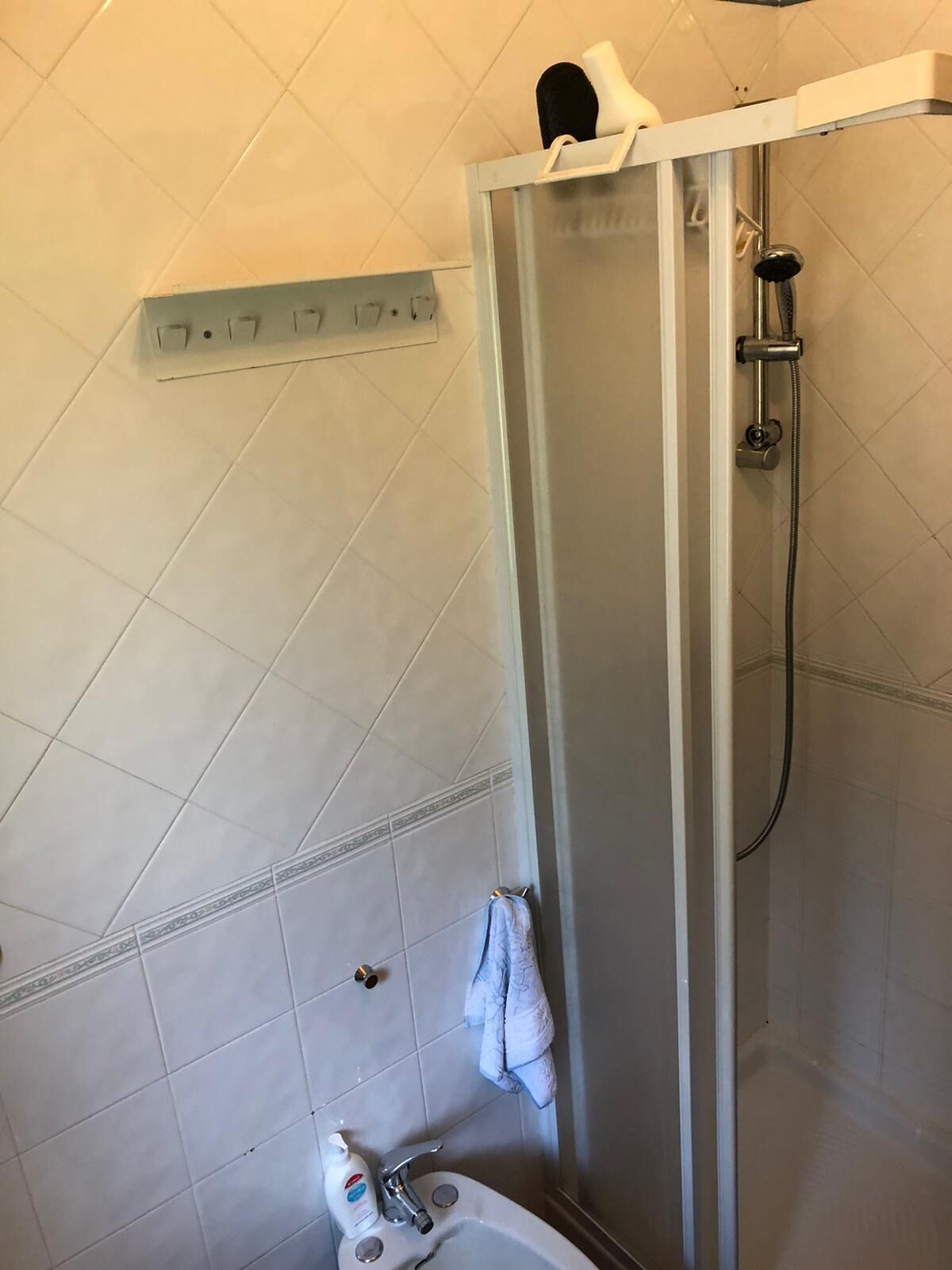 Dusche, Haartrockner, Bidet, Handtücher