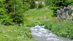 A natural landscape with a flowing stream, dense greenery, and a wooden fence. - Apartment "Linde - Fiechterhof" with Shared Open Terrace, Garden & Wi-Fi (Sarentino)