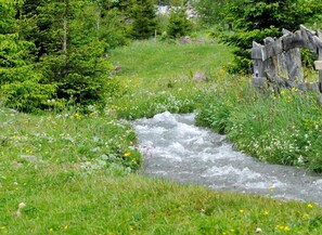 Property grounds - Apartment "Linde - Fiechterhof" with Shared Open Terrace, Garden & Wi-Fi (Sarentino)