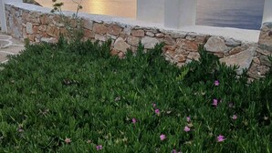 Une vue sur la côte, avec un mur de pierre et une structure en forme d’arche blanche.