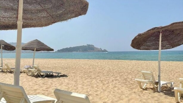 Una playa con sillas de descanso blancas y sombrillas de paja, una orilla arenosa y una vista despejada del mar y la costa lejana.