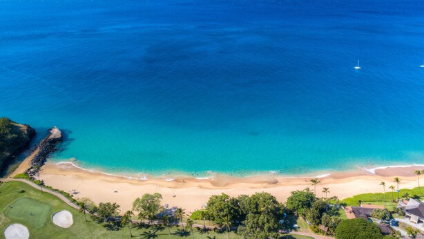 Vista aérea de una playa con aguas azules cristalinas, una orilla arenosa y abundante vegetación.
