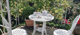 B&B Dressings Traumgarten