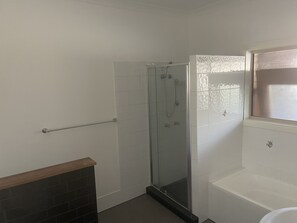 Combined shower/bathtub, jetted bath, hair dryer, towels