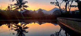 Honeymoon Villa With Rice Field View