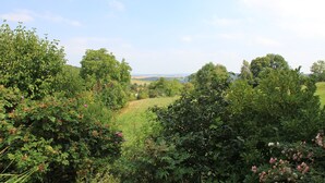 Un paysage verdoyant et luxuriant, avec un feuillage et des arbres denses.