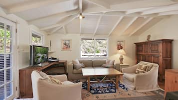 Smart TV, chimenea, reproductor de DVD y libros