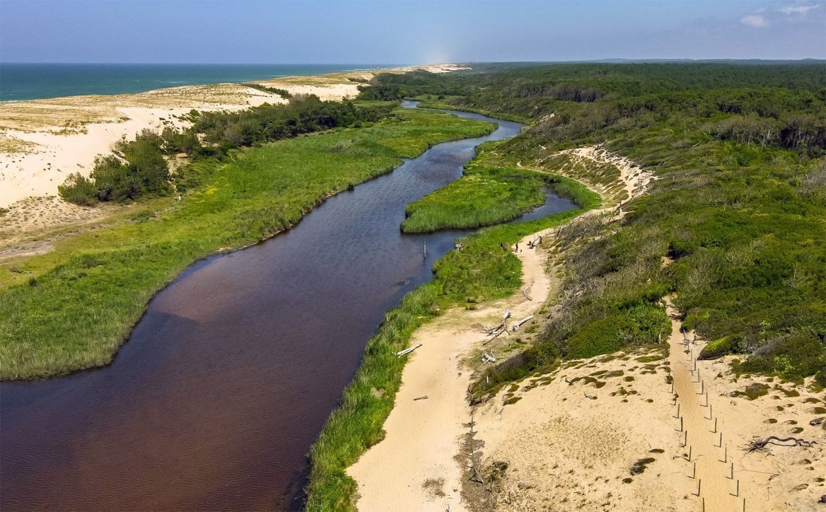 A river winding through a coastal landscape with sandy areas and dense greenery.