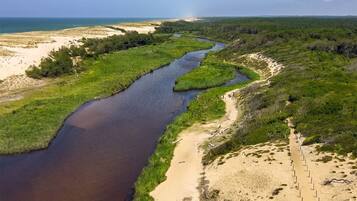 A river winding through a coastal landscape with sandy areas and dense greenery.