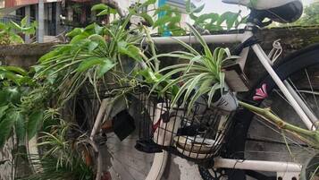 Khuôn viên nơi lưu trú