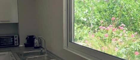 Deluxe Apartment | Private kitchen | Microwave, oven, coffee/tea maker