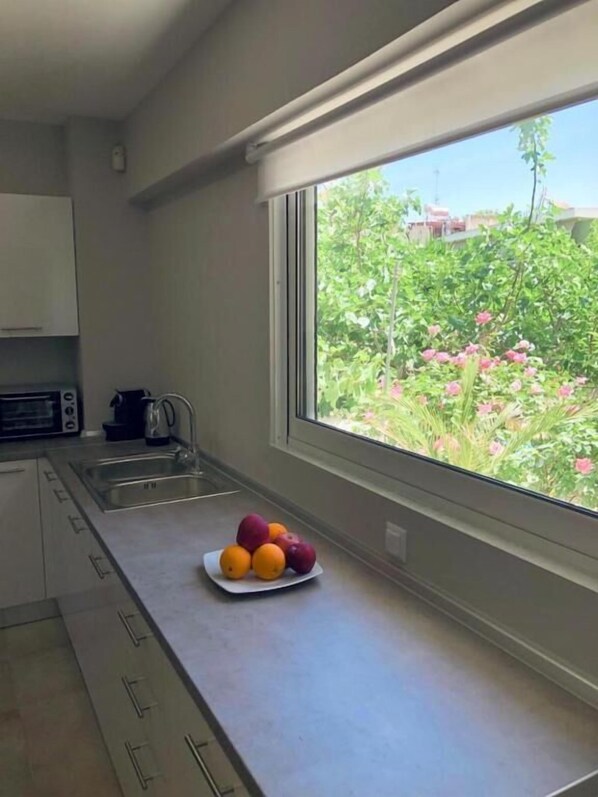 Deluxe Apartment | Private kitchen | Microwave, oven, coffee/tea maker