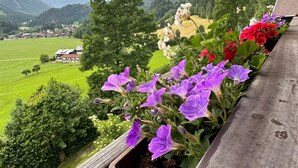 A balcony with potted purple flowers, a wooden railing, and a view of a green field and mountains in the background. - Vacation apartment on the farm (Wald)