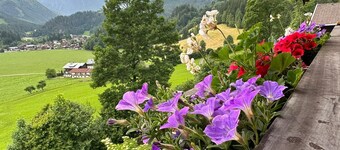 Vacation apartment on the farm