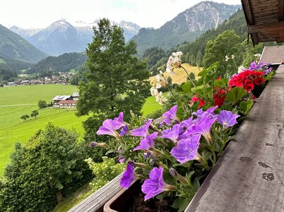 Vacation apartment on the farm