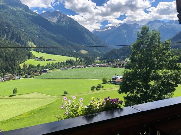 Áreas de la propiedad