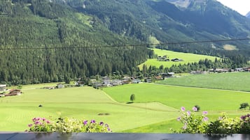 Uitzicht vanuit accommodatie