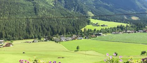 Vista desde la propiedad