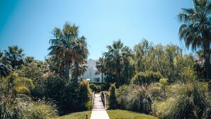 Un chemin menant à un bâtiment entouré d’une végétation luxuriante et de palmiers.