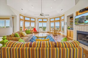 电视、DVD 播放器