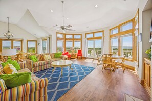 电视、DVD 播放器