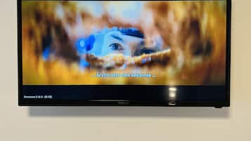 Television