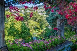 A lush garden with flowering plants and a view of a hillside community. - Portugal Portfolio - Quinta de Santa Luzia Villa (Funchal)