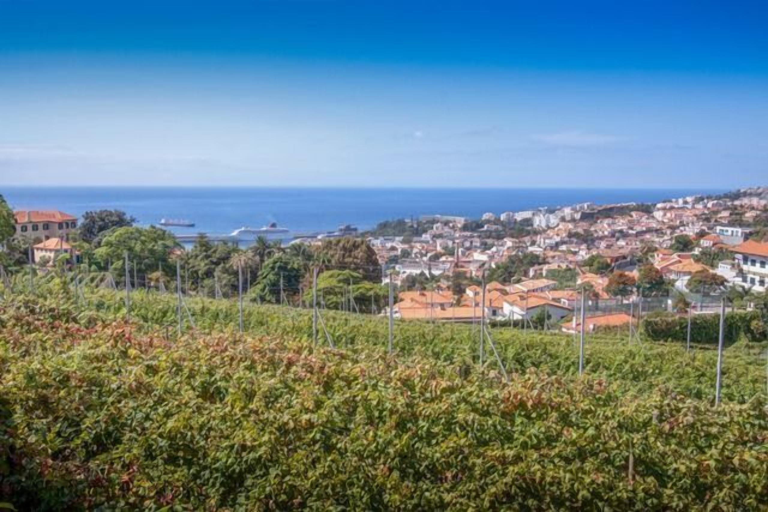 Une ville côtière avec vue sur la mer, des bâtiments aux toits rouges et un paysage vallonné.