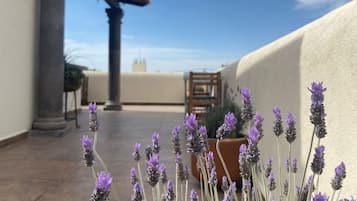 Rooftop terrace