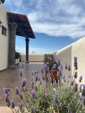 Rooftop terrace - Hotel La Lejona (San Miguel de Allende)