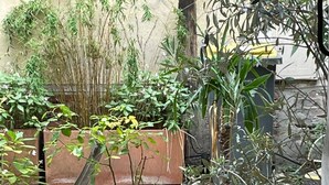 A stone patio with a metal chair and potted plants. - Bastille Sedaine (Paris)