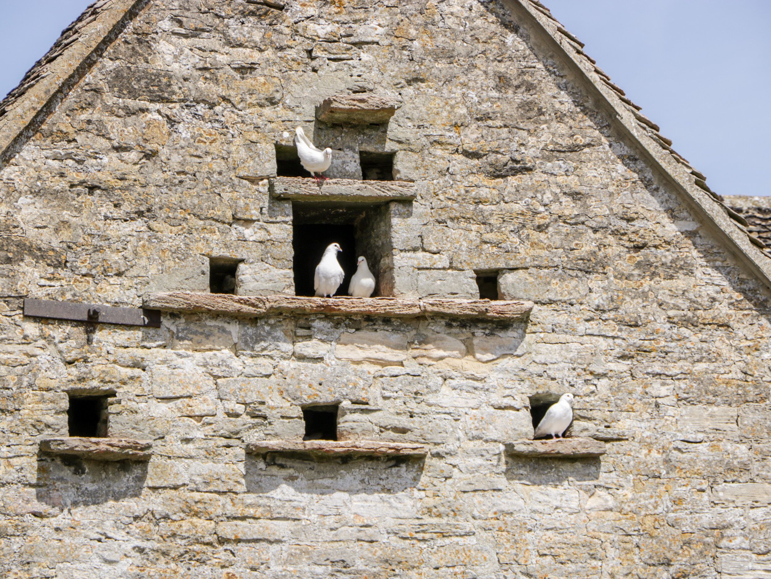 A stone building with multiple small windows and a central balcony with three white birds perched on it.