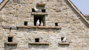 A stone building with multiple small windows and a central balcony with three white birds perched on it.