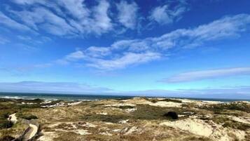 In Strandnähe, Liegestühle