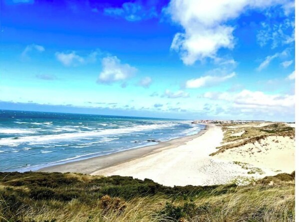 Playa en los alrededores y camastros 