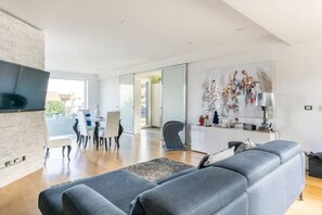 Smart TV, fireplace, DVD player, books