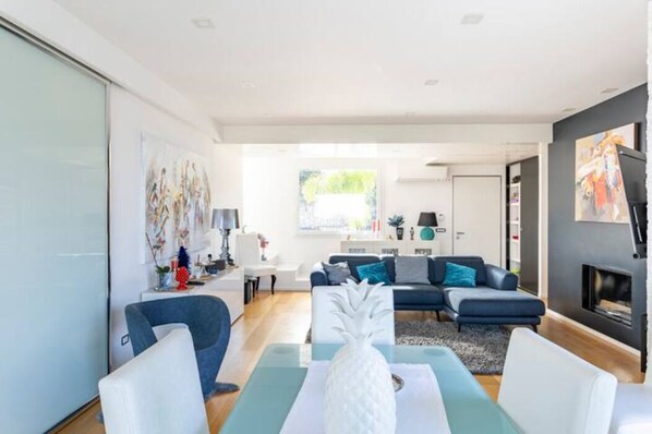 Smart TV, fireplace, DVD player, books