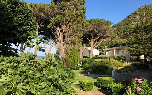 Terrain de l’hébergement 