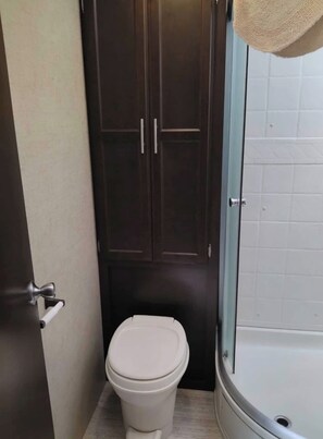 Ein Badezimmer mit Toilette, einer dunklen Holztür und einer Duschkabine aus Glas.