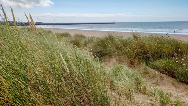 A beach with sand dunes and grass. - Maritime Quarter  - 2 Bedroom Apartment - SA1 Beach Front (Fisherman's Way) (Swansea)