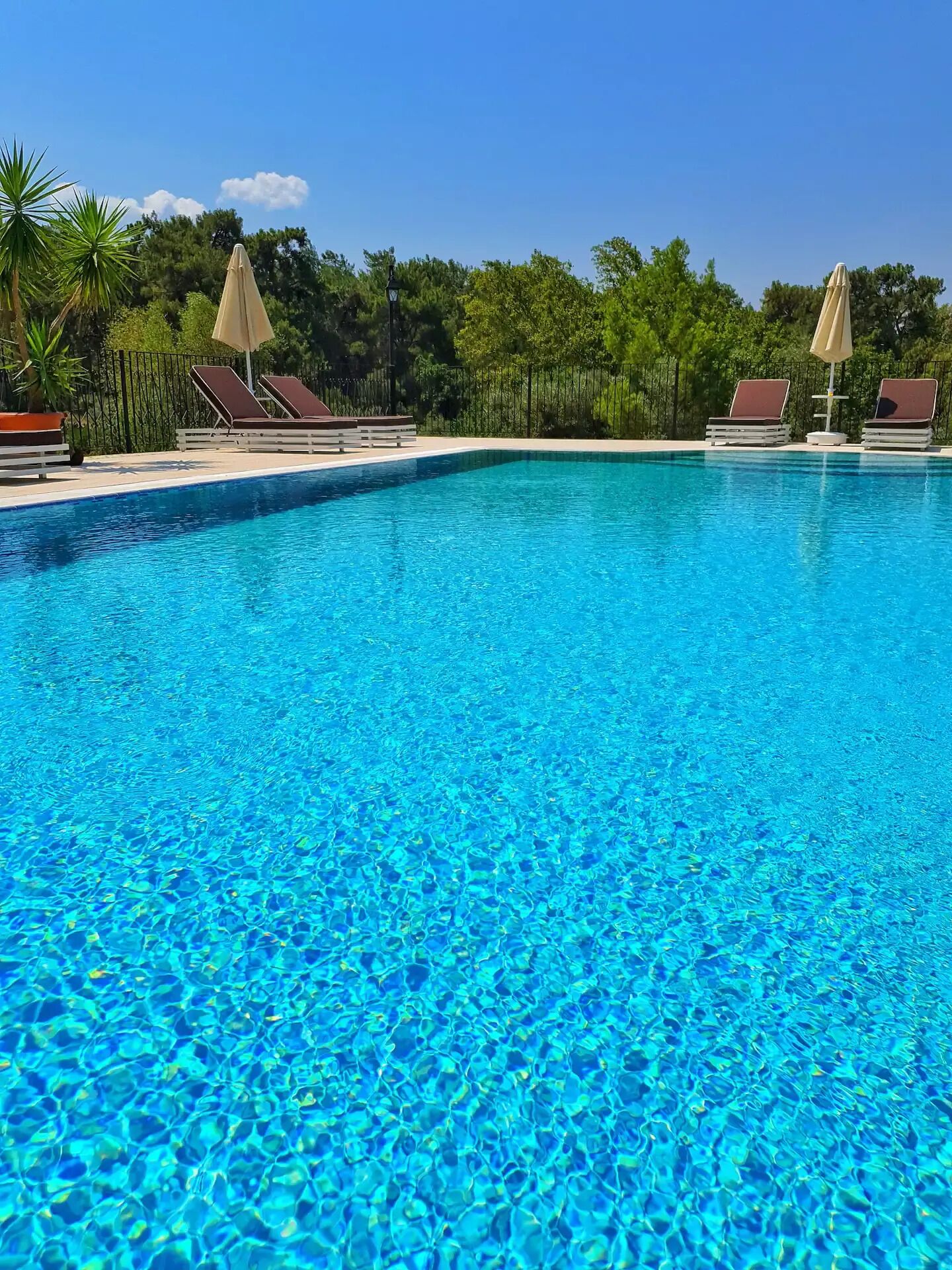 Alberca al aire libre 