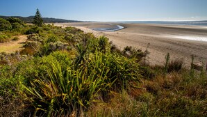Eine Küstenlandschaft mit Strand, Vegetation und blauem Himmel.
