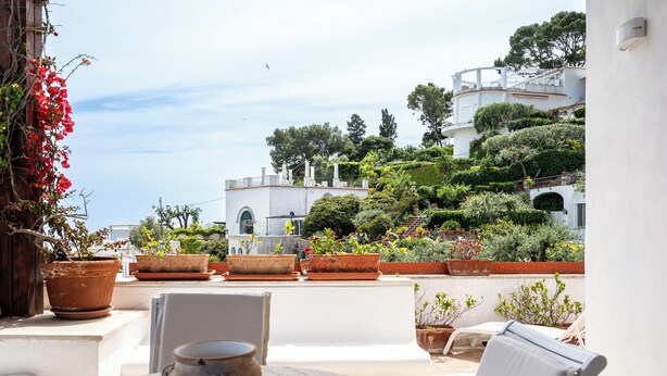 Eine Terrasse mit Kübelpflanzen, einem Tisch mit einer Schale und einem Stuhl.
