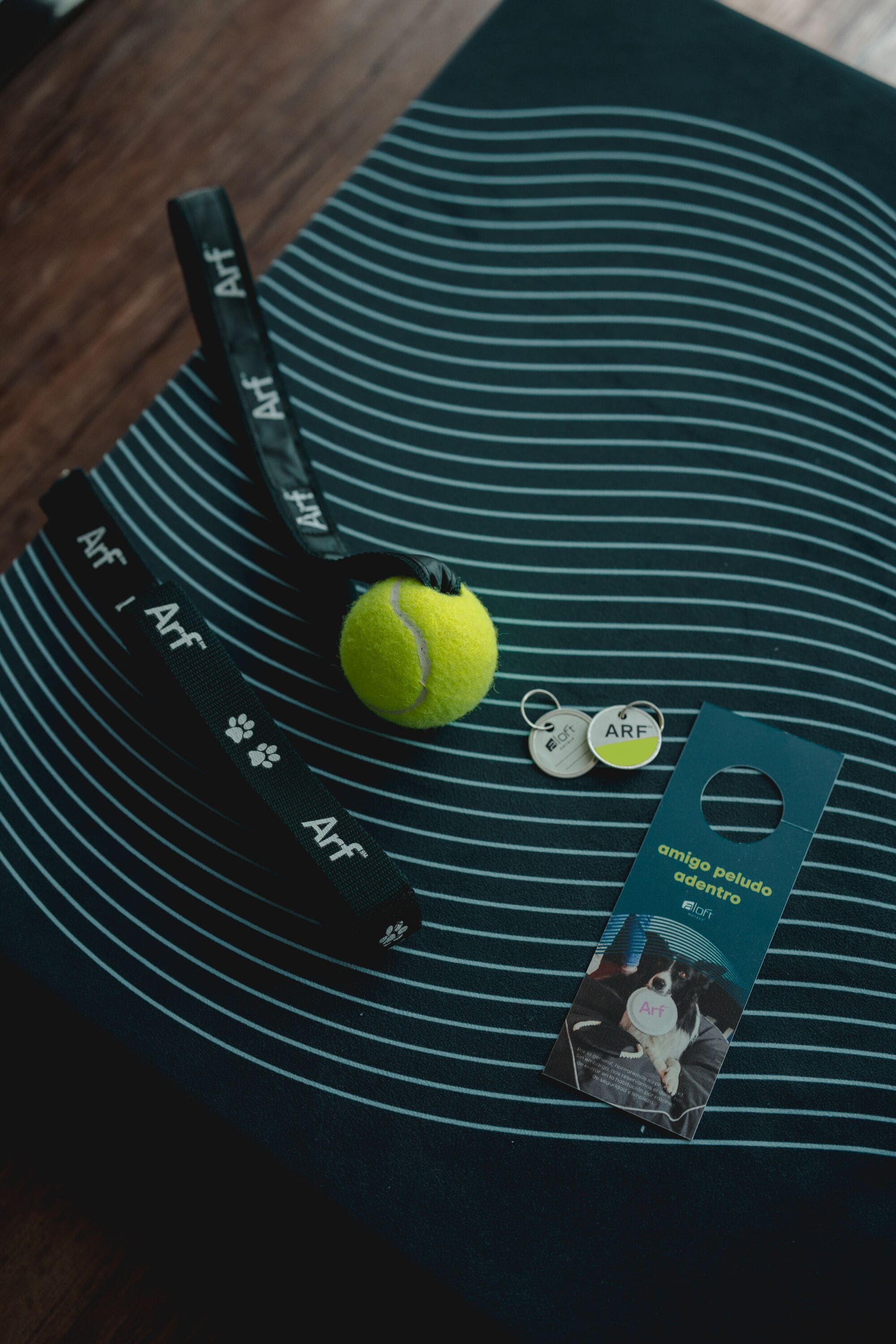 Photo - Aloft Guadalajara Sur