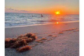 Perto da praia, toalhas de praia 