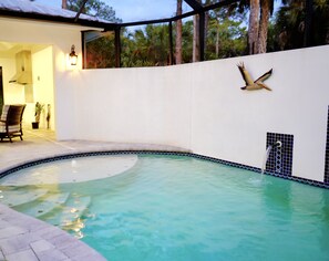 Pool - 2.5 acre Estate Home Huge Outdoor living area Pool – Central Naples Location (Naple)