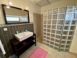 Shower, hair dryer, soap, toilet paper - Private house with pool and spa 20ms from the city of Carcassonne Occitanie (Laure-Minervois)