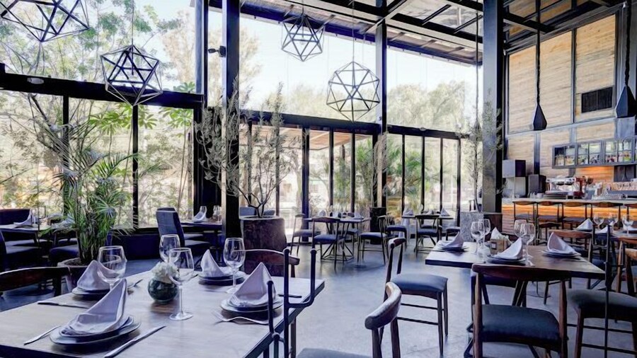 El Doce by Homi Rent