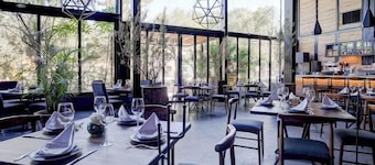 El Doce by Homi Rent