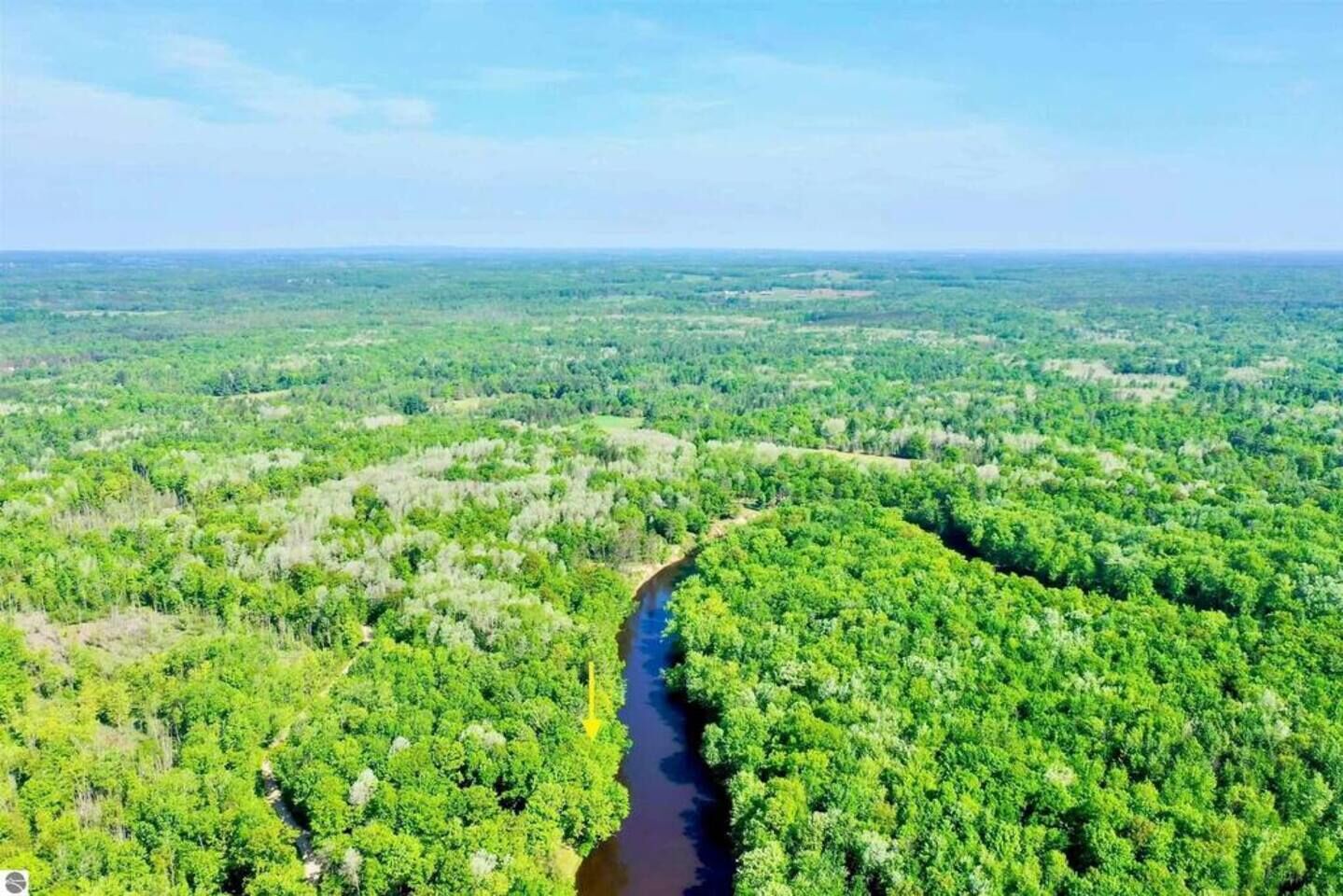 Een luchtbeeld van een dicht bos met een rivier erdoorheen.